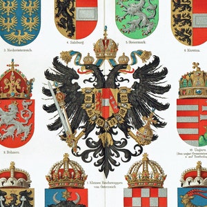 May include: A detailed vintage print showcasing numerous heraldic crests and coats of arms, each adorned with a crown. The shields feature diverse designs, including eagles, lions, and geometric patterns, in colours such as red, blue, and gold. German text is present.