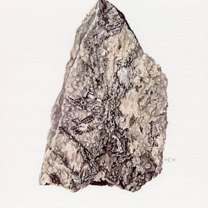 1968 ENARGIT Druck, Mineral Wandkunst, Mineralogie Dekor, Edelsteine, Vintage Felszeichnung, Geologen Geschenk