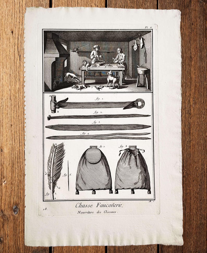 1793 Antique Falconry Print | Original Copperplate Engraving | Falconry ...