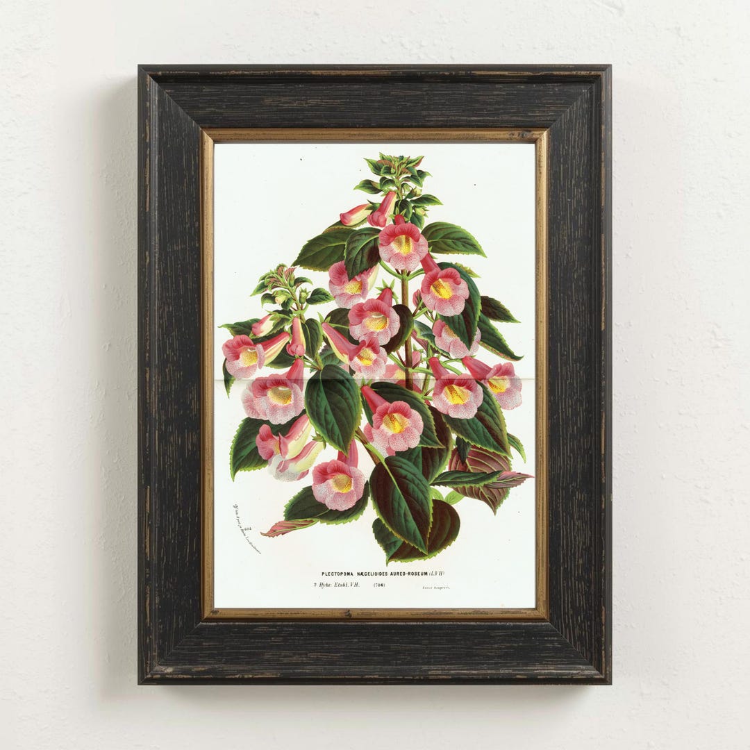 1867 Vintage Botanical Print Antique Flowers Print Gardening Wall Art ...