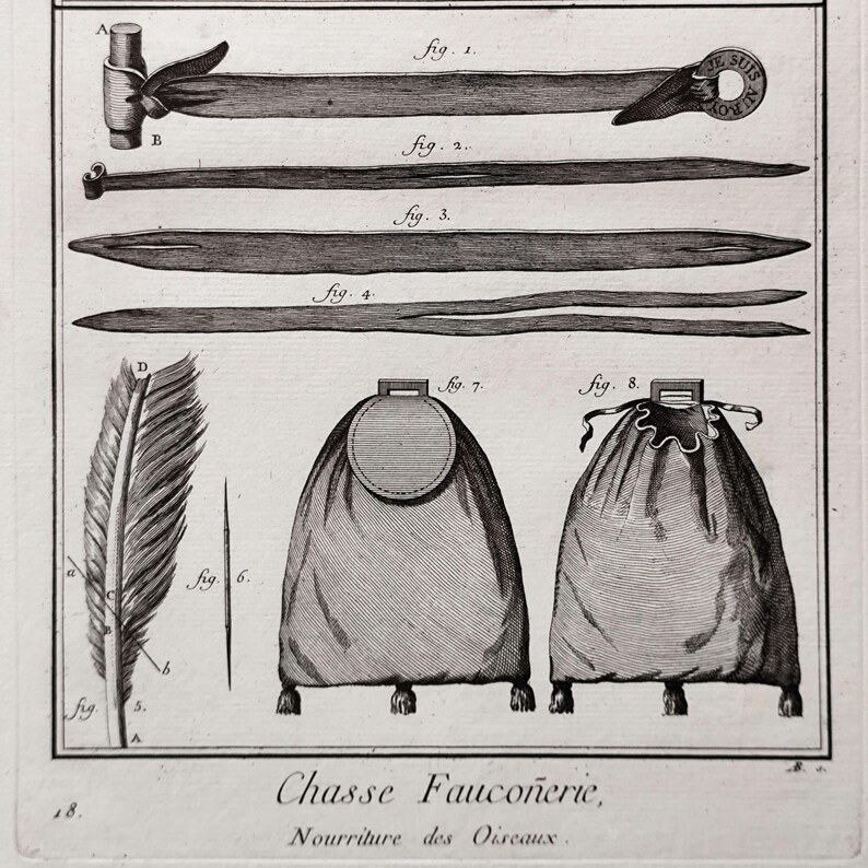 1793 Antique Falconry Print | Original Copperplate Engraving | Falconry ...