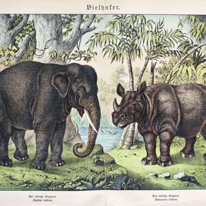 Stampa antica di elefante del 1886, stampa vintage di rinoceronte, stampa di rinoceronte, grandi mammiferi asiatici, decorazione da parete, stampa di animali selvatici per regalo, storia naturale