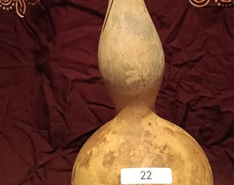 Zucca, zucca bottiglia essiccata, n. 22