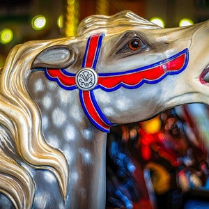 Merry Go Round Carousel Museum Sandusky Ohio,Prints,Canvas,Metal, Cedar Point, Sunrise, Sunset