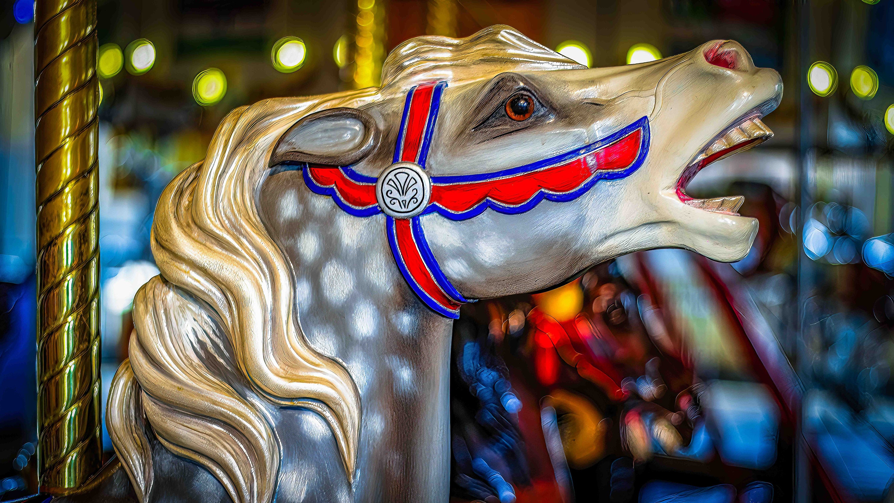 Merry Go Round Carousel Museum Sandusky Ohio,prints,canvas,metal, Cedar ...