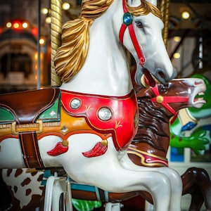Merry Go Round Carousel Museum Sandusky Ohio/Prints/Canvas/Metal