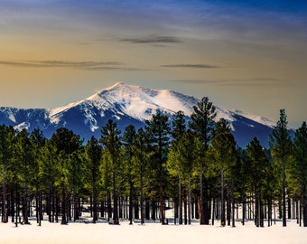 May include: A snow-capped mountain peak rises above a forest of evergreen trees. The sky is a gradient of blue and yellow, suggesting a sunrise or sunset.