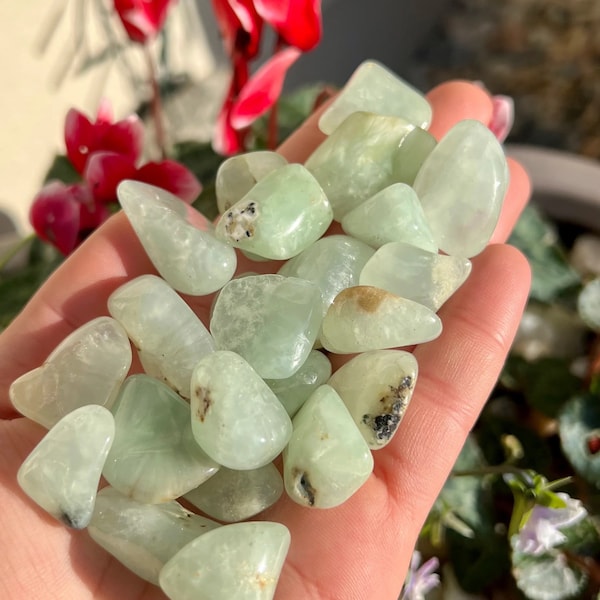 Prehnite Crystal Tumblestone Natural Crystals Gemstones Healing Stones Authentic Crystal Gift Shop Uk