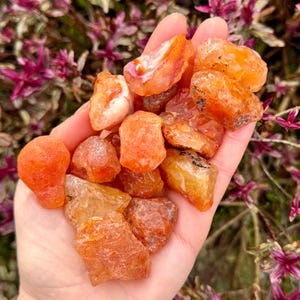 May include: A collection of carnelian crystals in various shades of orange and red. The crystals are rough and have a natural, unpolished look.