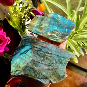May include: Two large pieces of labradorite crystal, one with a more jagged edge, both displaying iridescent blue, green, and gold colours.