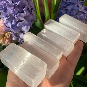May include: Six white selenite crystal sticks, also known as selenite wands, are arranged in a row on a hand. The sticks are smooth and have a natural, striated texture.