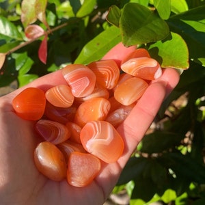 May include: A collection of carnelian tumbled stones, featuring a variety of orange and white banded patterns. The stones are smooth and polished, with a natural, earthy look.