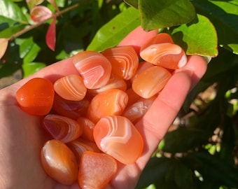 Small Carnelian Crystal Tumblestones Natural Crystals Gemstones Healing Stones Authentic Crystal Gift Shop