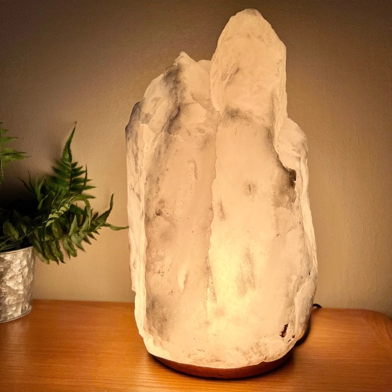 May include: A large, illuminated white salt lamp with dark grey veining. The lamp has a rough, natural texture and sits on a dark wooden base. A fern in a metal pot is visible in the background.