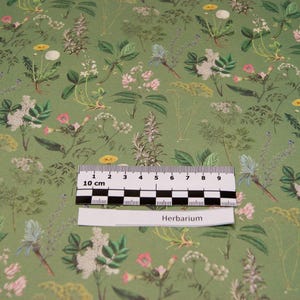 HERBIER en papier cadeau/couleur de haute qualité