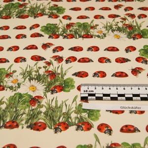 Carta regalo/colorata di alta qualità COCCINELLA