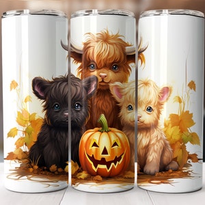 Baby Highland Cow Tumbler Bundle (4), Fall 20 oz Tumbler Wrap, Digital Download PNG, Halloween Sublimination Design