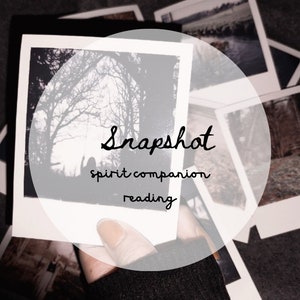 Snapshot - A Spirit Companion Reading