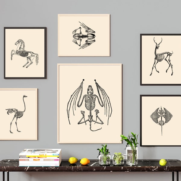 Animal Skeleton Wall Art Bundle-6 Unique and Striking Animal Art Prints, Halloween Decor, Animal Anatomy, Animal Anatomical Wall Art