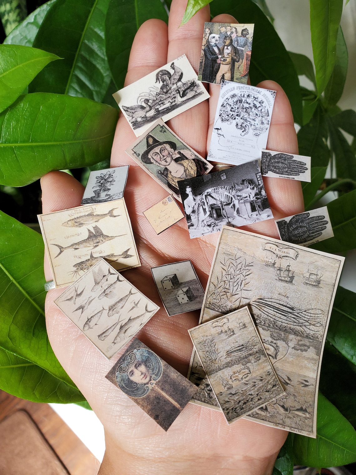 Printable Mini Pictures (public Domain/copy Right Free) - Etsy