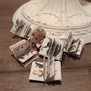 Printable mini books (6) 1:12 scale Digital Download (apothecary, study, animals)