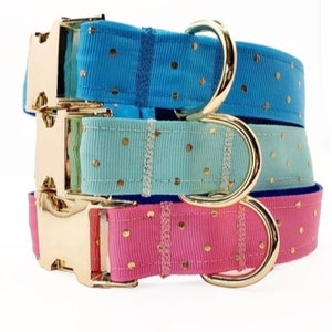 May include: Three dog collars in different colours: blue, light blue, and pink. Each collar has gold-coloured hardware and a polka dot pattern.