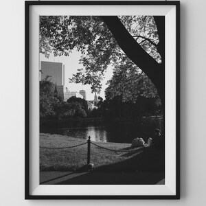 Fine Art Photography Print: Boston Commons - Resting Under a Tree - Black and White - Lifestyle Home & Office Decor