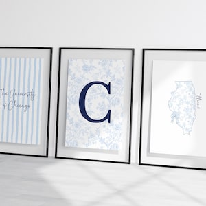 May include: Three framed prints with black frames. The left print has blue and white vertical stripes and the text "The University of Chicago." The centre print has a large blue letter "C" on a floral background. The right print is a blue floral outline of the state of Illinois.