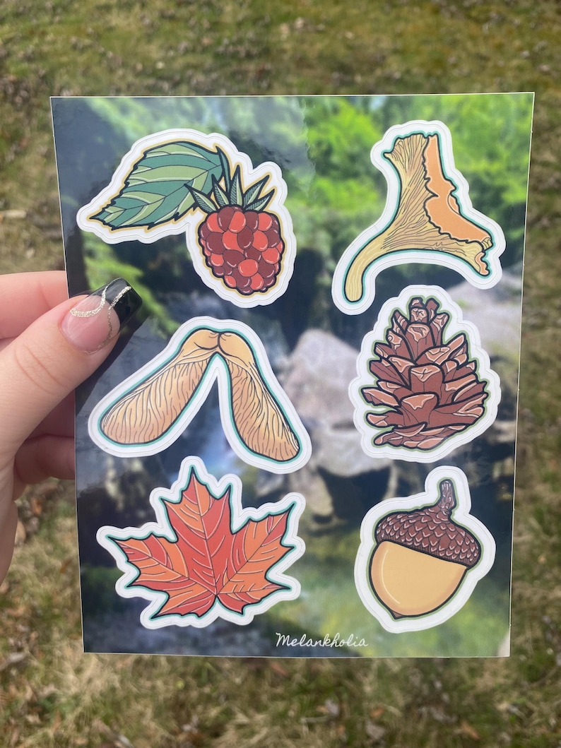 Forest Sticker Sheet - Etsy