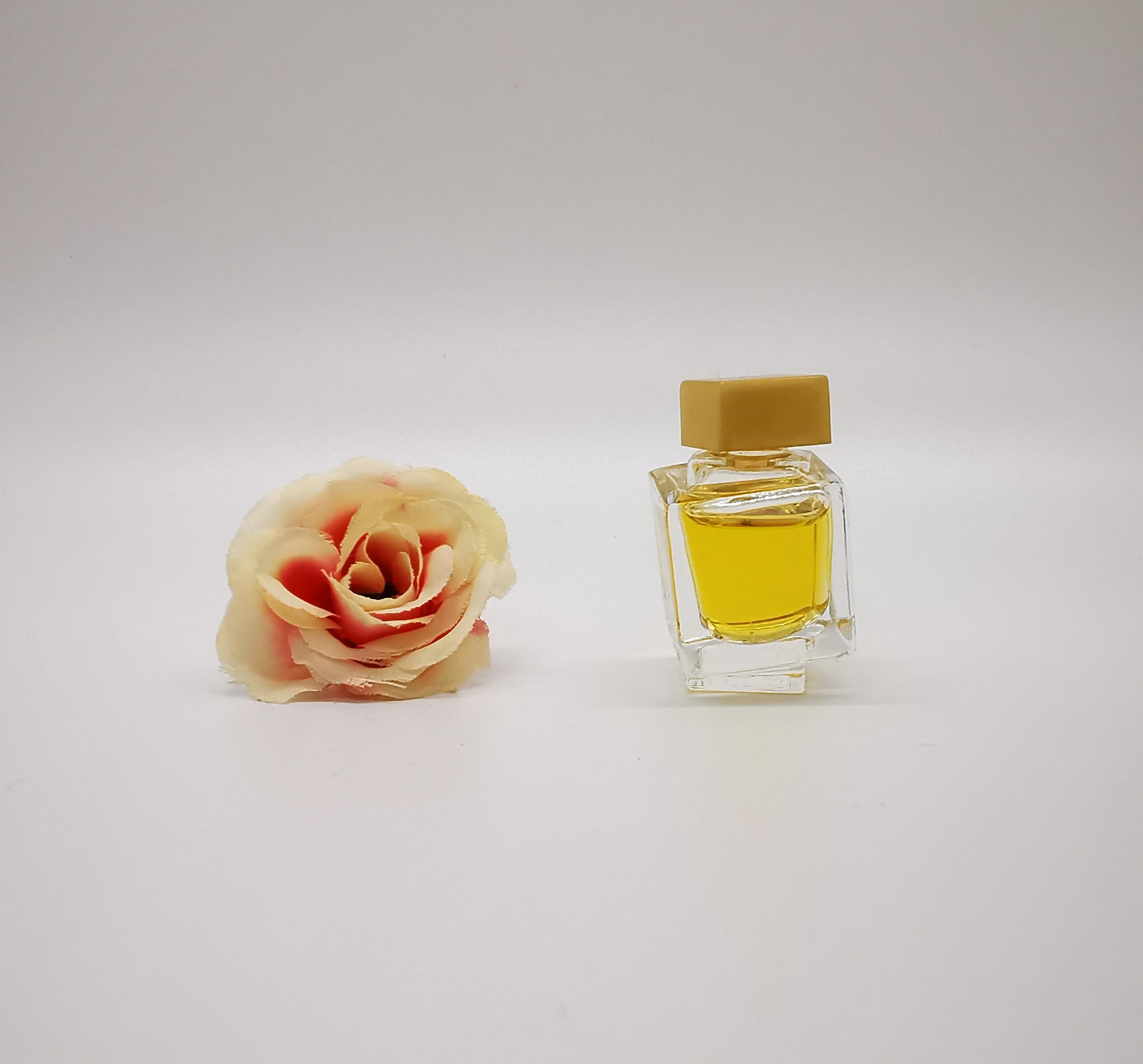 V'e versace perfume - Etsy 日本