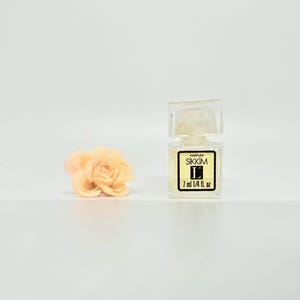 Sikkim lancome - Etsy 日本