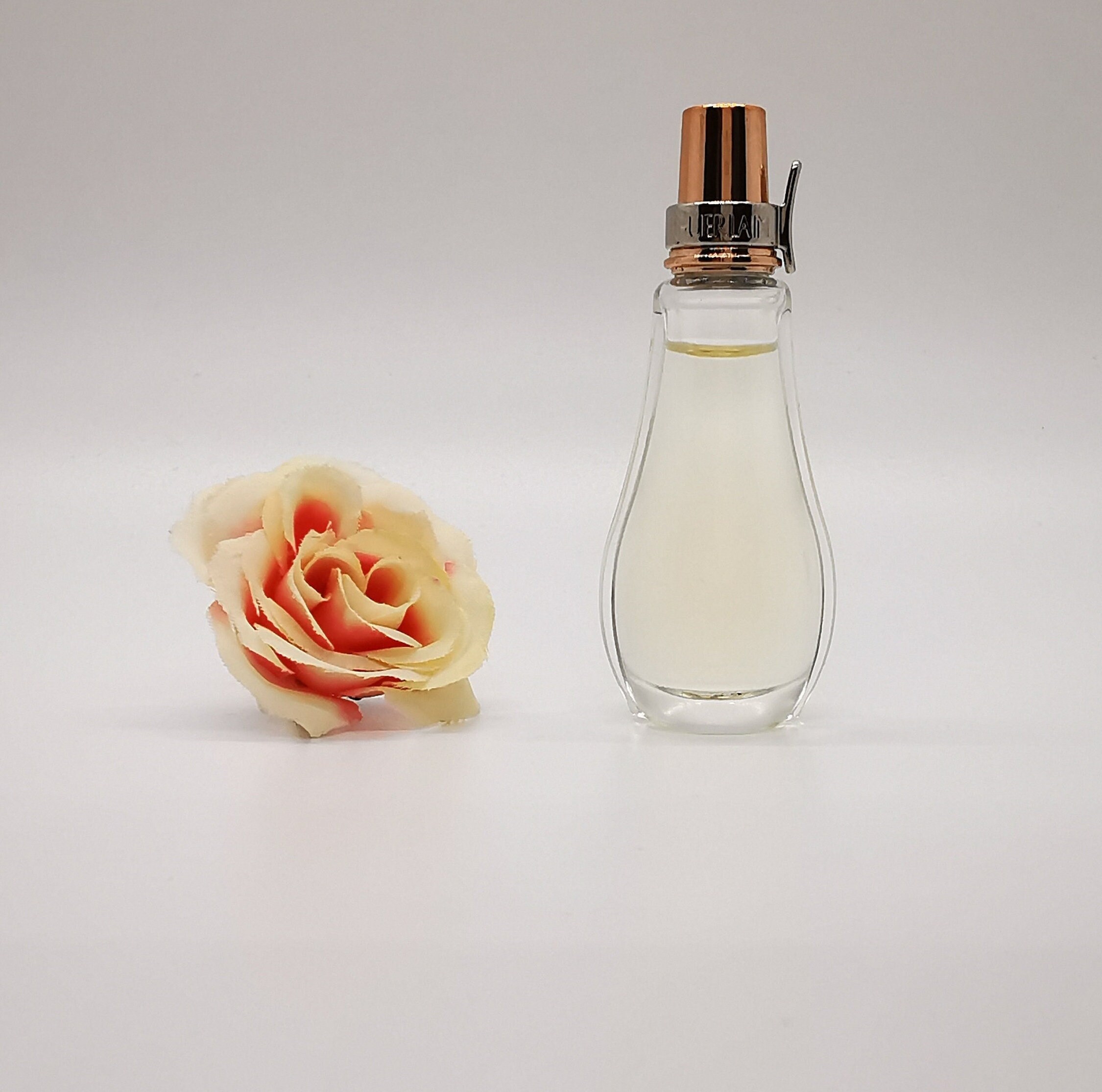 Coriolan guerlain - Etsy 日本