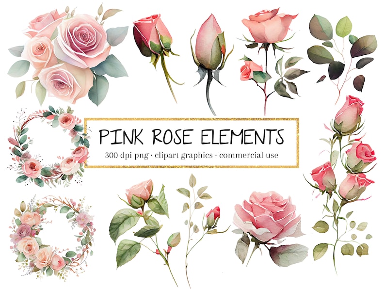 Pink Rose Clipart, Pink Rose Watercolor, Pink Rose Clip Art, Pink Rose