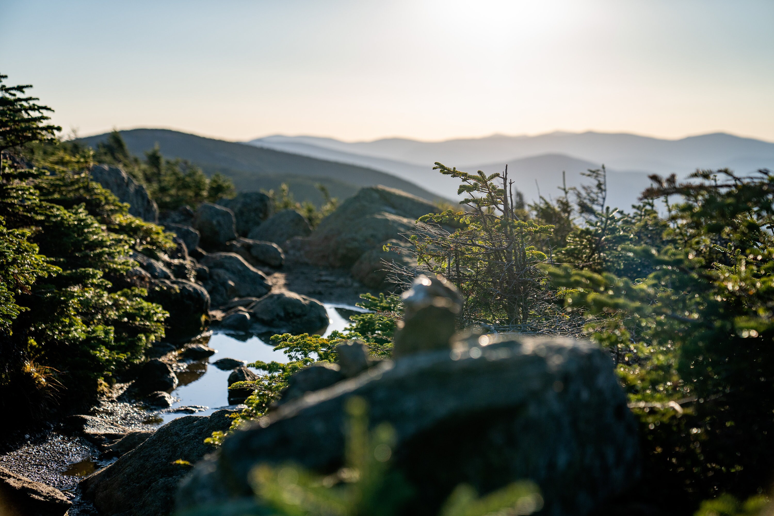 White Mountains National Forest - Etsy
