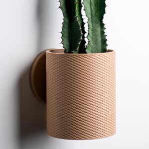Decorative Wall Planters- Basket Weave Wall Planter with Hidden Drip Tray - Unique Wall-Mounted Plant Pot