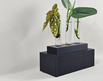 Modern Propagation Station- Glass Plant Propagation- Hydroponic Vase for Plant Propagation with Test Tubes