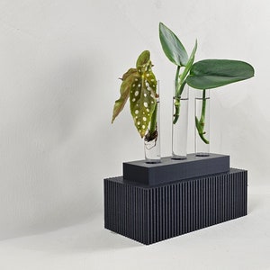 Modern Propagation Station- Glass Plant Propagation- Hydroponic Vase for Plant Propagation with Test Tubes