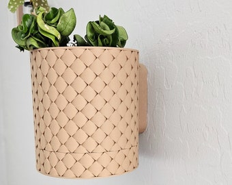 May include: A light brown woven hanging planter with a green plant growing inside. The planter has a diamond pattern and a small lip on the top.