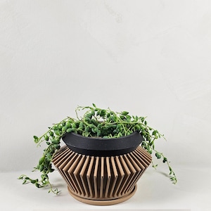 Planter Pot with Drainage - Unique Planter Pot - Planter for Succulents, Houseplants, Herbs