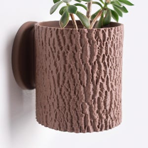 May include: A brown wall-mounted planter with a tree bark texture, holding a small succulent plant.