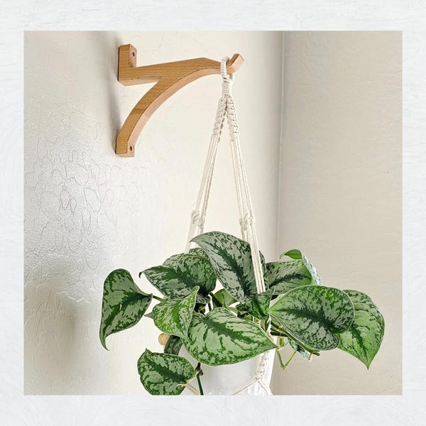 Wooden Wall Plant Hanger – Solid Beech Hook for Hanging Plants or Macrame | Indoor Wall Plant Bracket | Modern Boho Decor