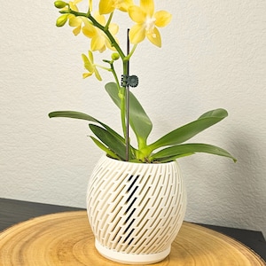 Orchid Pot with Holes - Large Orchid Pot - Modern Orchid Planter with Drip Tray