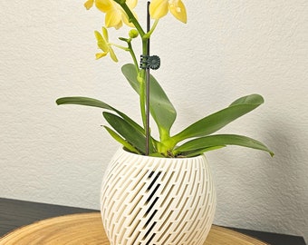 May include: A yellow orchid plant with green leaves in a white ceramic pot with a geometric pattern. The plant is supported by a metal stake with a black clip.
