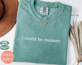 Comfort Colors® I Could Be Meaner Shirt, Funny Humor Shirt, Sarcastic Shirt, Funny Quote Shirt, Sarcasm Shirt, Trendy Shirt for Women