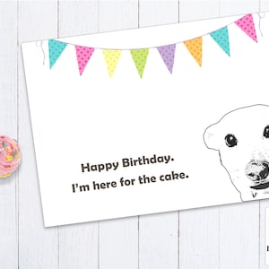 Carte d'anniversaire vierge de chien drôle, carte de chien excentrique, carte d'anniversaire téléchargeable, téléchargement immédiat, PDF, JPEG, carte de chien unique