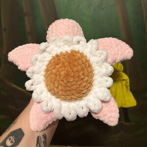 Daisy the Flower Turtle