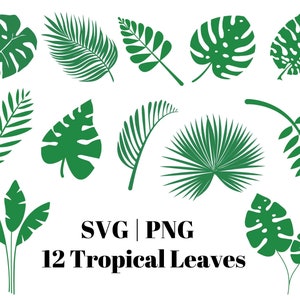 Tropical leaves SVG, Monstera leaf SVG, Palm leaf SVG, tropical leaf svg, Monstera plant clipart, palm branch svg, tropical party decor