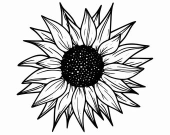 Girasol SVG / Flor Svg / Descarga digital / Girasol Clipart / Svg Archivo Cricut