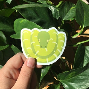 May include: A green snake sticker with a curled up body and a white outline. The sticker is on a green leafy background.