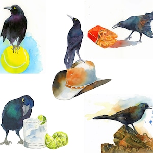 Austin Grackle Art Watercolor Stationery